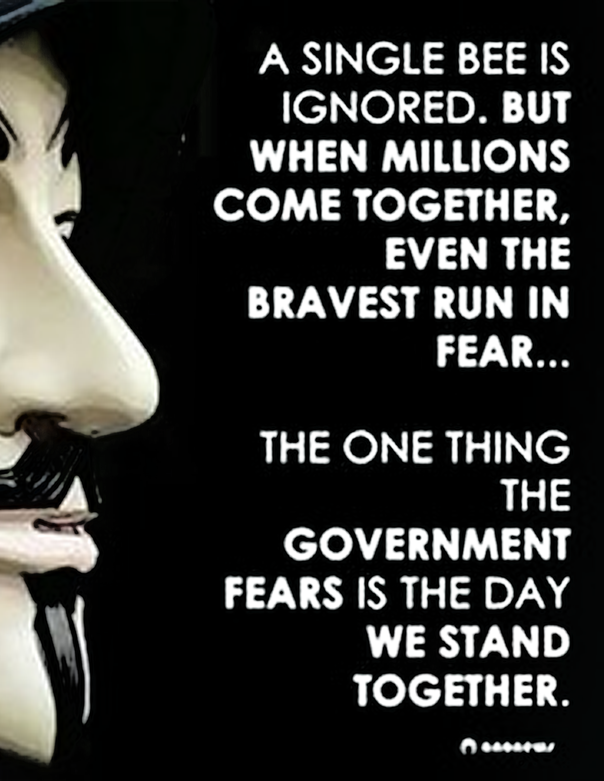 A single bee is ignored. But when millions come together even the bravest run in fear... The one thing the government fears is the day we stand together.